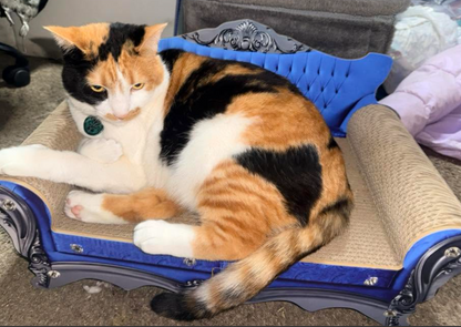 Cat Sofa Lounge Bed Scratcher