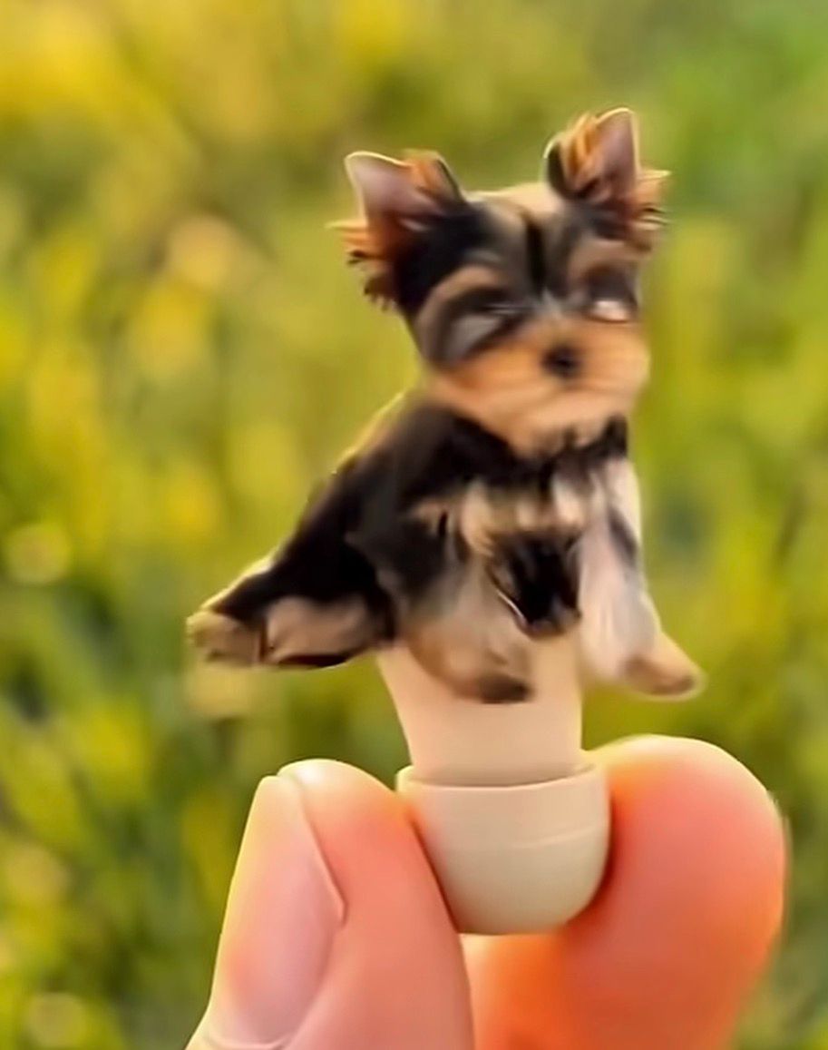 Dog Shape Earbuds Limited Number